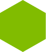 Polygon 5 (1)